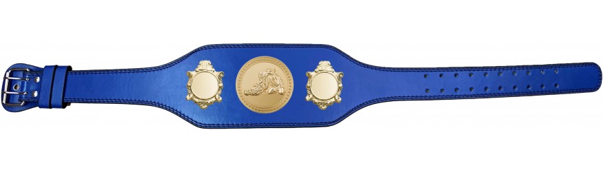 JIU JITSU CHAMPIONSHIP BELT-BUD003/G/JJG-4 COLOURS